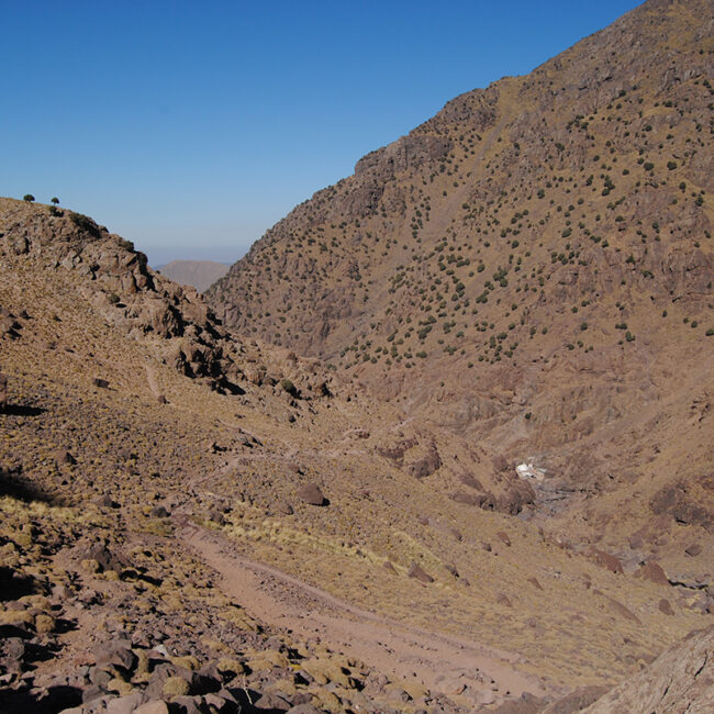 Hacia el techo de Marruecos - trekking Atlas/Toubkal