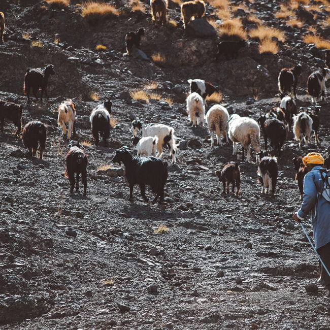 Hacia el techo de Marruecos - trekking Atlas/Toubkal